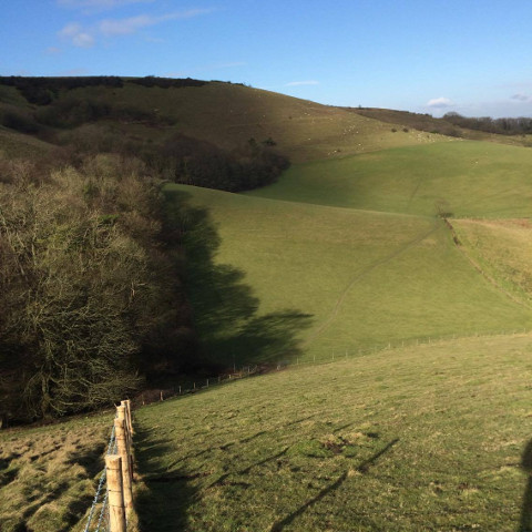 stock fence in sloping field