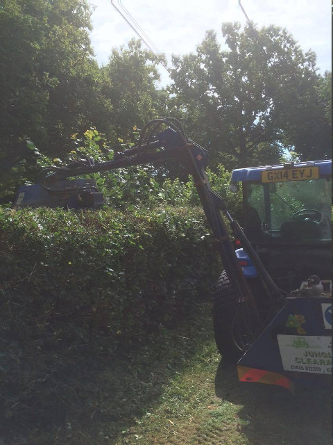 hedge cutting with flail