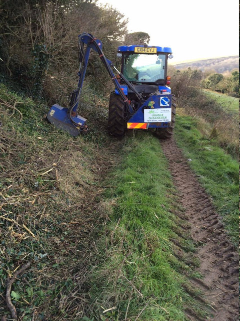 hedge and verge flail cutting back shrub