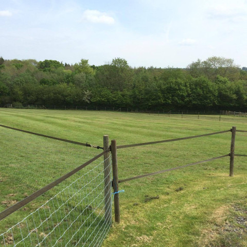 Rolled paddock